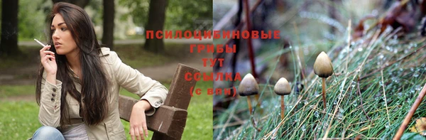 spice Балахна